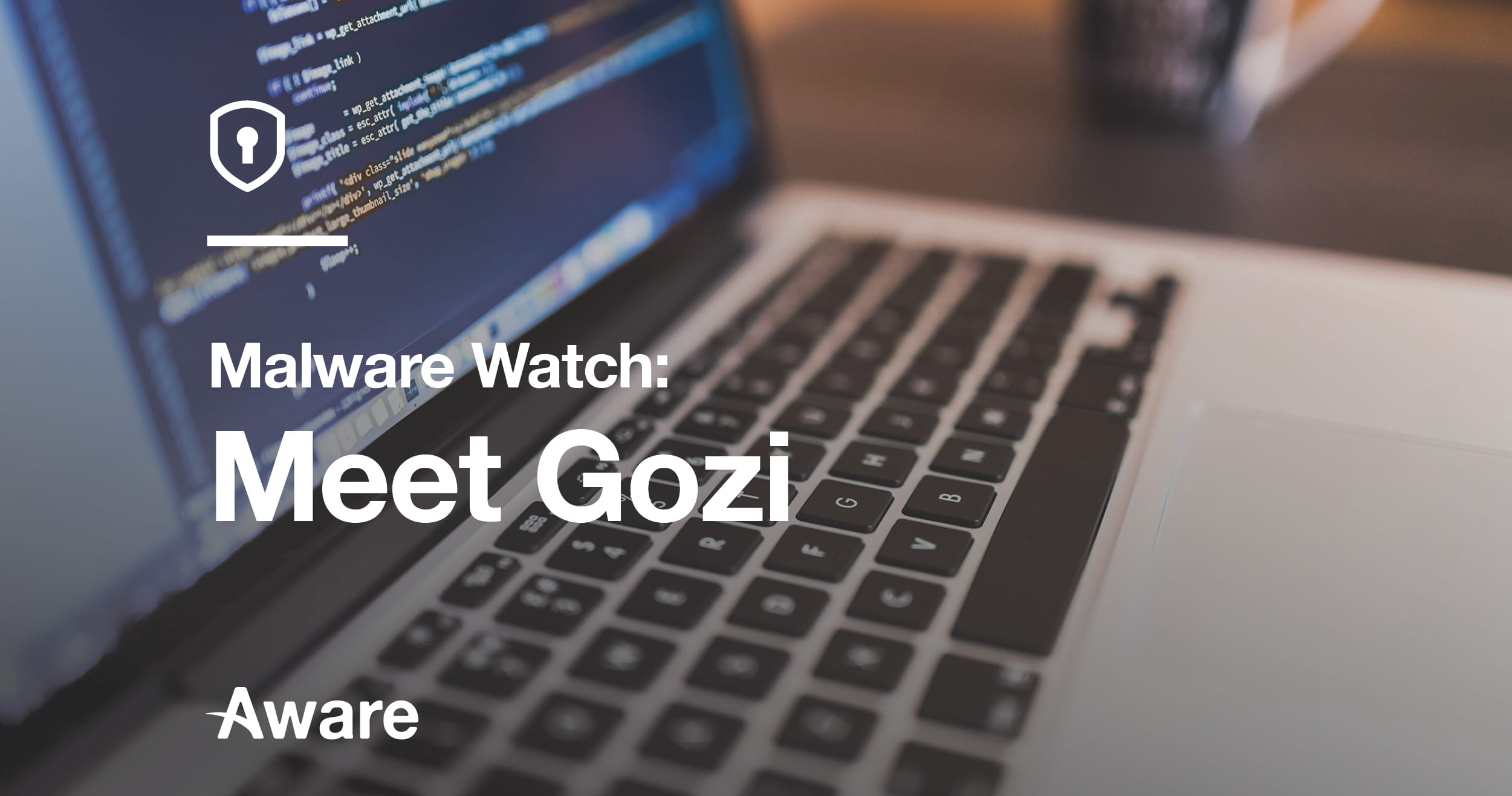 Meet Gozi: The Number 1 Financial Malware